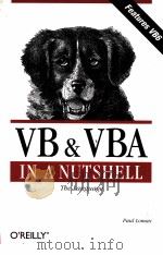 VB & VBA IN A NUTSHELL:THE LANGUAGE   1998  PDF电子版封面     