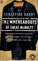 THE WHEREABOUTS OF ENEAS MCNULTY   1998  PDF电子版封面    SEBASTIAN BARRY 