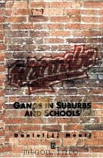 WANNABE GANGS IN SUBURBS AND SCHOOLS   1994  PDF电子版封面    DANIEL J.MONTI 
