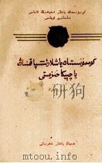 共青团支部工作  维吾尔文（1959 PDF版）