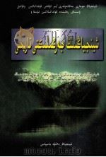 新疆地方史  哈萨克文（1992 PDF版）
