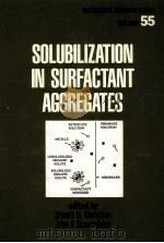 SOLUBILIZATION IN SURFACTANT AGGREGATES     PDF电子版封面     