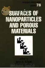 SURFACES OF NANOPARTICLES AND POROUS MATERIALS     PDF电子版封面     