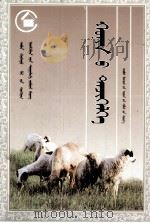 《五畜兴旺》丛书  养羊  蒙文（1990 PDF版）