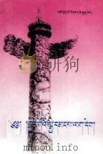 中国公民手册   1997  PDF电子版封面  7542006517   