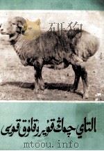 阿勒泰大尾羊  维吾尔文   1979  PDF电子版封面  M16098·26  新疆维吾尔自治区牧局；斯马义伊布拉音 