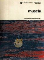 MUSCLE（ PDF版）