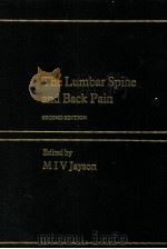 The Lumbar Spine And Back Pain（ PDF版）