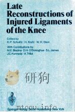 Late Reconstructions of Injured Ligaments of the Knee     PDF电子版封面     