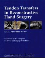 Tendon Transfers in Reconstructive Hand Surgery     PDF电子版封面     