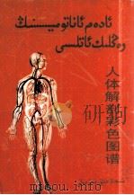 人体解剖彩色图谱  维吾尔文   1993  PDF电子版封面  7228023439  郭光文，王序；哈丽曼·阿布都克力等 