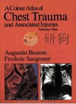 Chest Trauma Volume one（ PDF版）