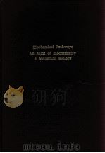 BIOCHEMIOAL PATHWAYS AN ATLAS OF BIOCHEMISTRY & MOLECULAR BIOLOGY     PDF电子版封面     