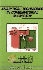 ANALYTICAL TECHNIQUES IN COMBINATORIAL CHEMISTRY     PDF电子版封面  0824719395   
