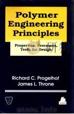 POLYMER ENGINEERING PRINCIPLES     PDF电子版封面  1569901511   