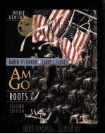 AMERICAN GOVERNMENT ROOTS AND REFORM     PDF电子版封面  020519334x   