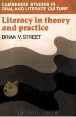 STREET LITERACY IN THEORY AND PRACTICE（ PDF版）