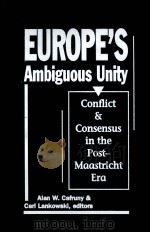 EUROPER AMBIGUOUS UNITY     PDF电子版封面    ALAN W CAFRUNY 
