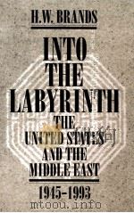 INTO THE LABYRINTH THE UNITED STATES AND THE MIDDLE EAST 1945-1993（ PDF版）