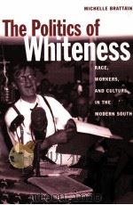 THE POLITICS OF WHITENESS（ PDF版）