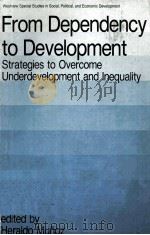 FROM DEPENDENCY TO DEVELOPMENT     PDF电子版封面     