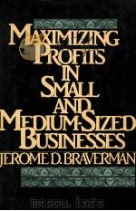 MAXIMIZING PROFITS IN SMALL AND MEDIUM-SIZED BUSINESSES（ PDF版）