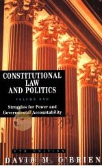 CONSTITUTIONAL LAW AND POLITICS（ PDF版）