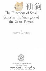 THE FUNCTIONS OF SMALL STATES IN THE STRATEGIES OF THE GREAT POWER   1972  PDF电子版封面  8200340155   