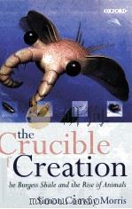 THE CRUCIBLE OF CREATION THE BURGESS SHALE AND THE RISE OF ANIMALS     PDF电子版封面  0192862022   