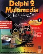 DELPHI 2 MULTIMEDIA ADVENTURESET     PDF电子版封面  1883577640   