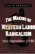THE MAKING OF WESTERN LABOR RADICALISM DENVER'S ORGANIZED WORKERS 1878-1905     PDF电子版封面  0252020758   
