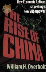 HOW ECONOMIC REFORM IS CREATING A NEW SUPERPOWER THE RISE OF CHINA     PDF电子版封面  0393035336  WILLIAM H.OVERHOIT 