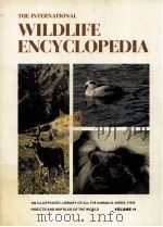 WILDLEFE ENCYCLOPEDIA VOLUME11     PDF电子版封面     