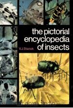 the pictorial encyclopedia of insects     PDF电子版封面  0600030857  V.J.Stanek 