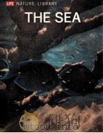 THE SEA（ PDF版）