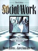 SOCIAL WORK AN EMPOWERING PROFESSION     PDF电子版封面  0205277055   