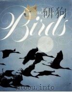 THE WONDER OF BIRDS     PDF电子版封面     