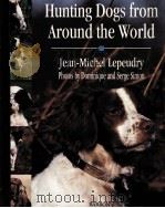 HUNTING DOGS FROM AROUND THE WORLD     PDF电子版封面  0812066324   