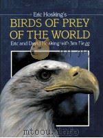 ERIC HESKING‘S BIRDS OF PREY OF THE WORLD ERIC AND DAVID HOSKING WITH JIM FLEGG     PDF电子版封面  082890653X   