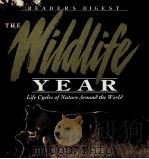 READER'S DIGEST:THE WILDLIFE YEAR     PDF电子版封面  0276420128   