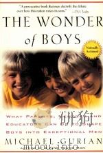 THE WONDER of BOYS Nationally Acclaimed     PDF电子版封面  0874778875   