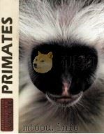 ILLUSTRATED LIBRARY OF NATURE VOLUME 1 PRIMATES 1984 EDITION     PDF电子版封面     