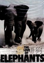 THE LOVE OF ELEPHANTS NEIL MURRAY     PDF电子版封面     