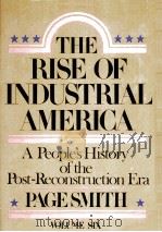 THE RISE OF INDUSTRIAL AMERICA  Volume 6     PDF电子版封面  0070585725   