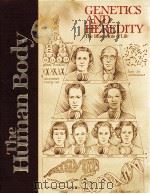 GENETICS AND HEREDITY  The Blueprints of Life     PDF电子版封面  0920269656   