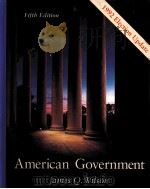 AMERICAN GOVERNMENT     PDF电子版封面  0669247707   