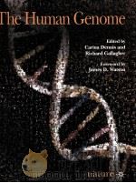 The Human Genome     PDF电子版封面  0333971434   