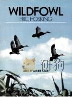 WILDFOWL PHOTOGRAPHS BY ERIC HOSKING TEXT BY JANET KEAR     PDF电子版封面     