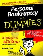 Personal Bankruptcy FOR DUMMIES（ PDF版）