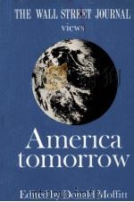 THE WALL STREET JOURNAL VIEWS AMERICA TOMORROW DEITED BY DONALD MOFFITT     PDF电子版封面  0814454380   